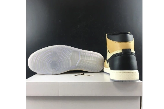 WMNS Fossil AH7389-003 AH7389-003 Air Jordan 1 Premium High Mushroom 0408